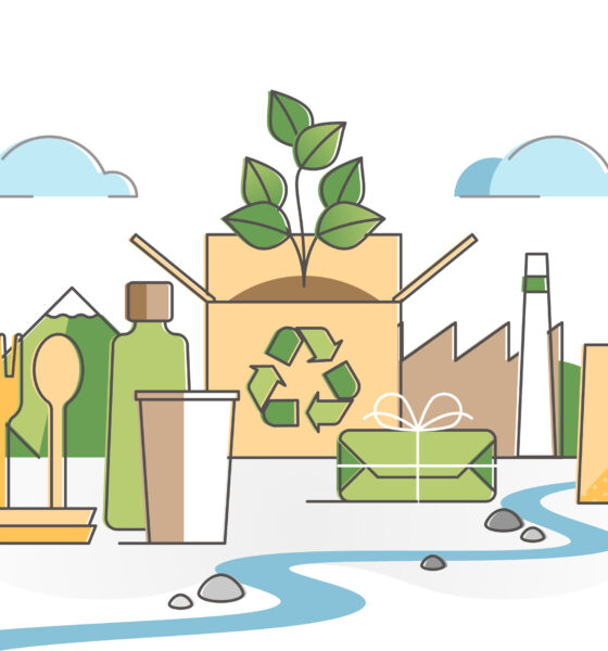 sustainable packaging for environmental impact
