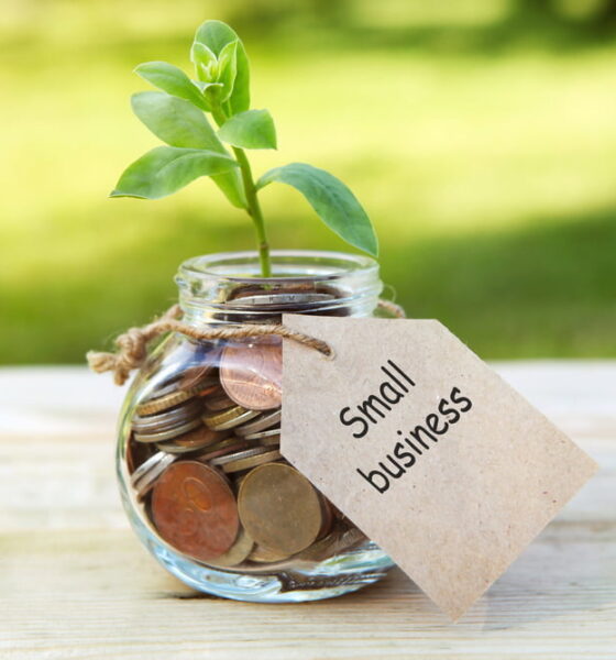 green businesses need expense management solutions to stay profitable