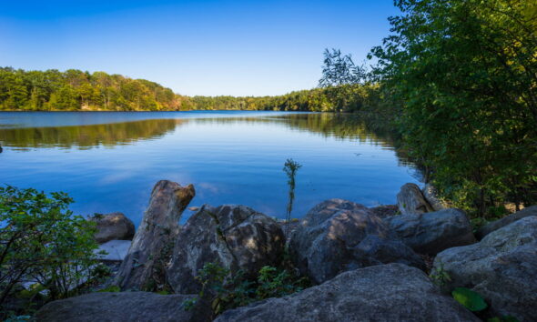 richmond hill can be a great place for eco-friendly families to live