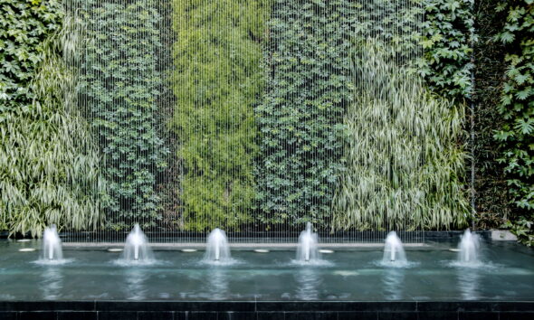 eco-friendly restaurants are bringing the outdoors inside