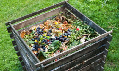 creating compost for an eco-friendly garden out of organic waste