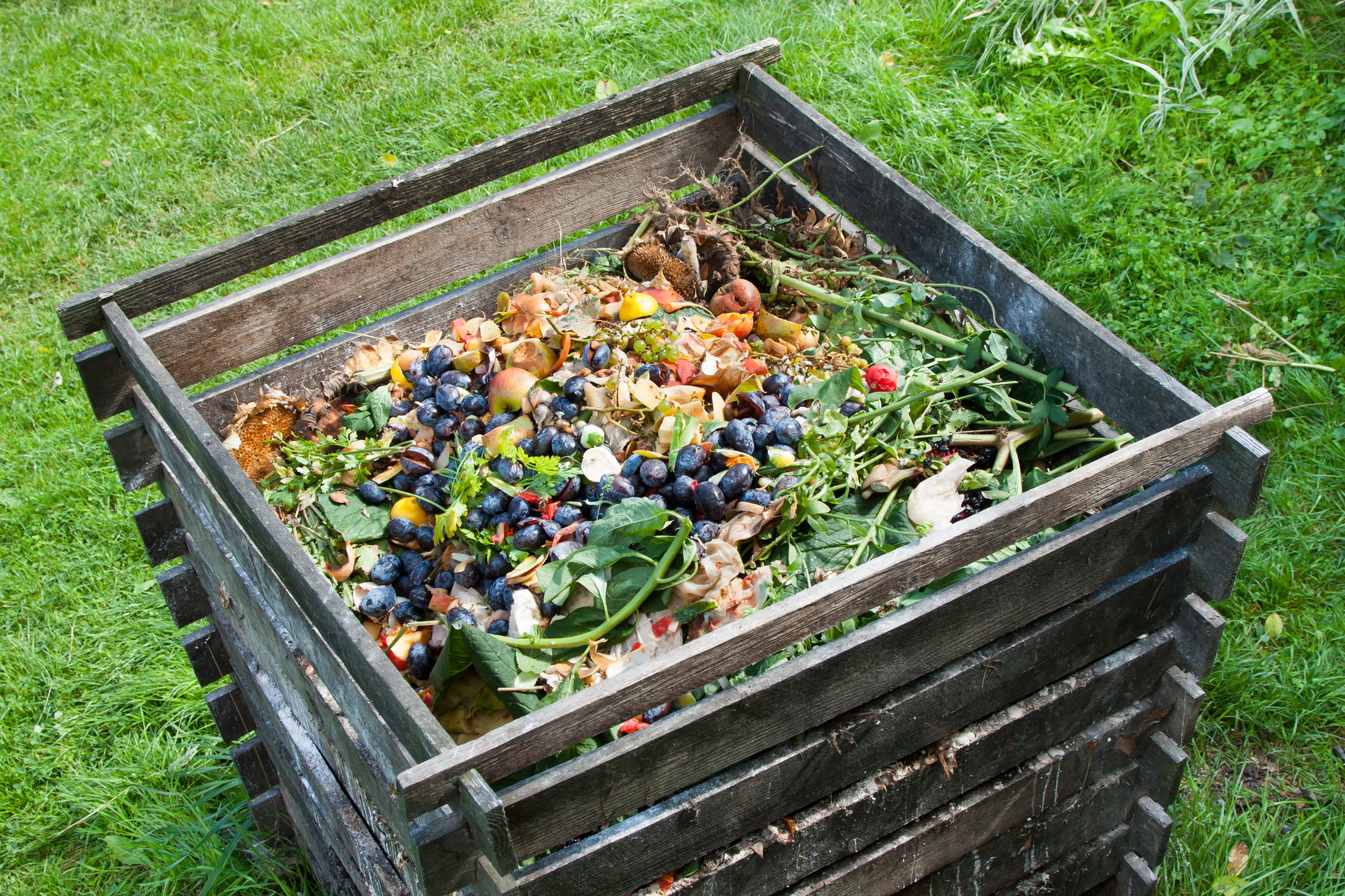 creating compost for an eco-friendly garden out of organic waste