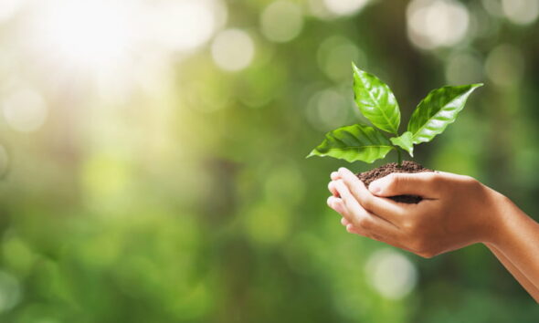 eco-friendly ways to make money