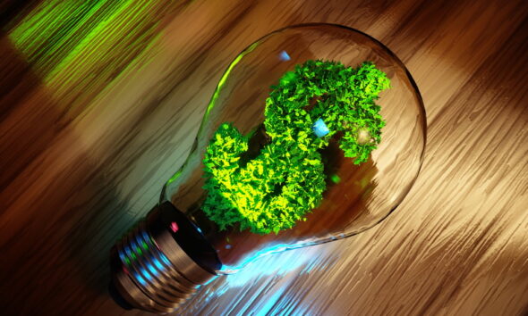 get a loan for an eco-friendly business