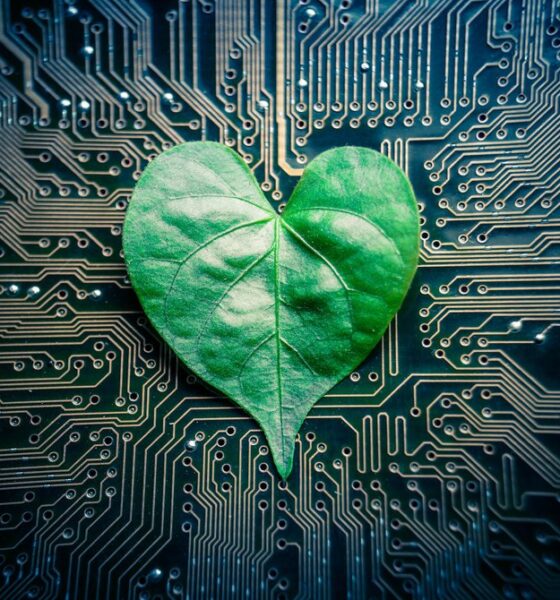eco-friendly computer owner tips