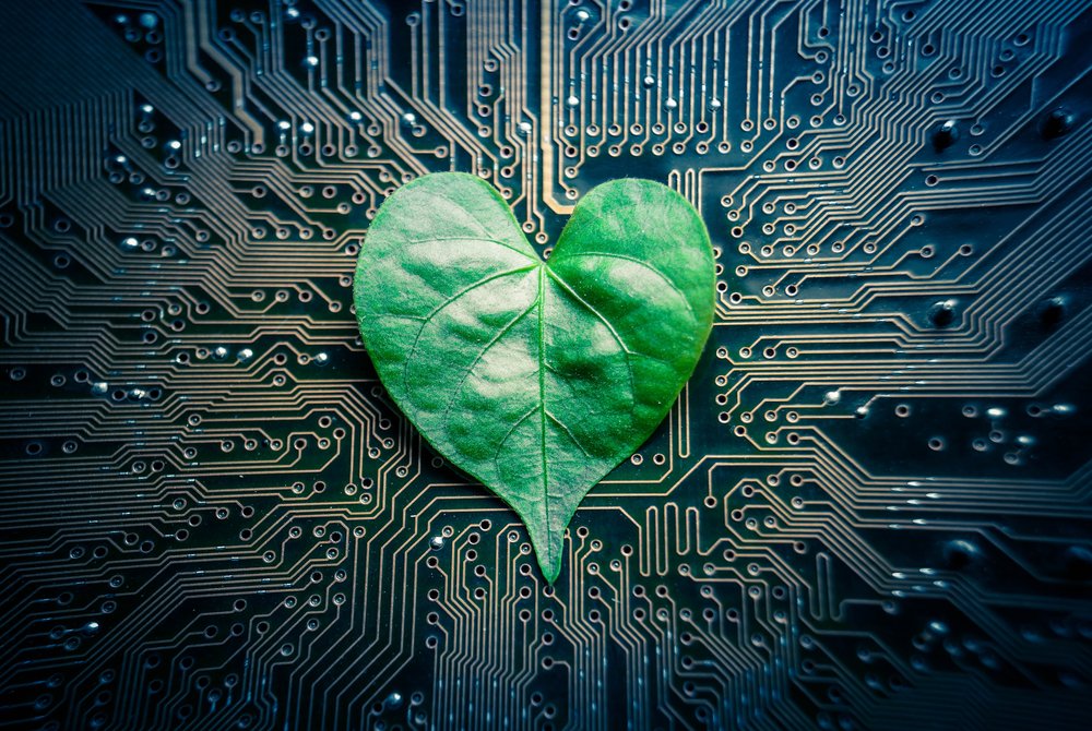 eco-friendly computer owner tips
