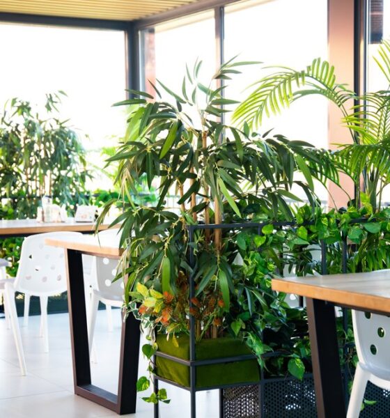 eco-friendly restaurants