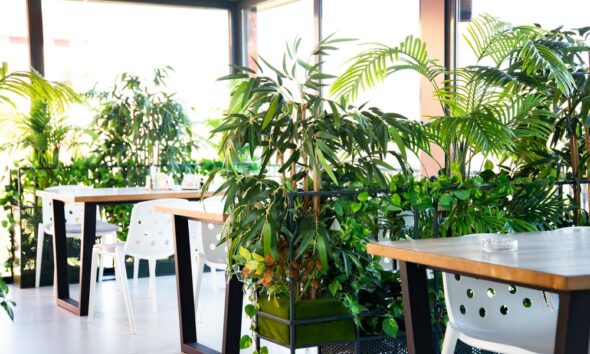 eco-friendly restaurants