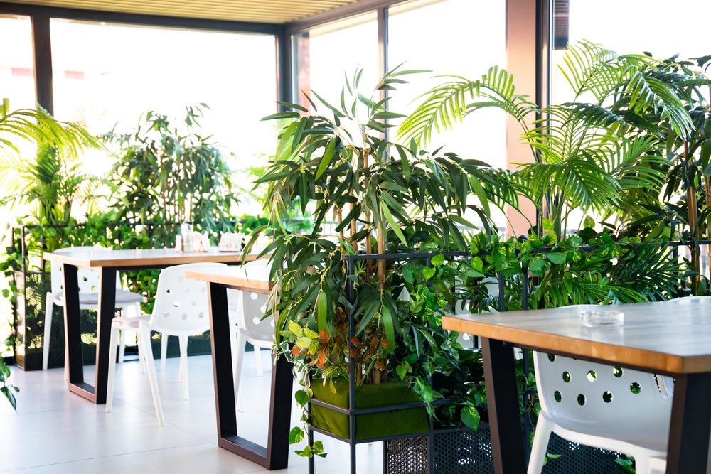 eco-friendly restaurants