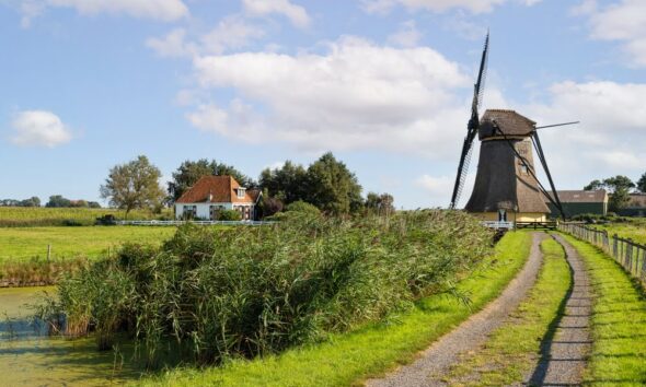 5 things to do in frielsand as an ecotourist