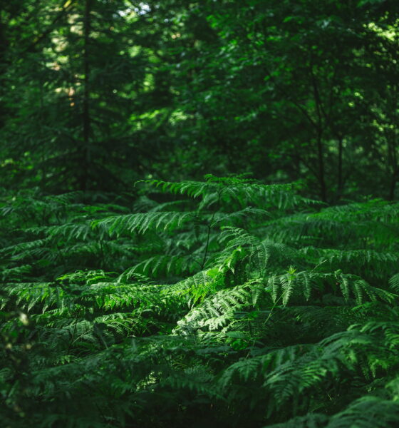 green living tips for 2023