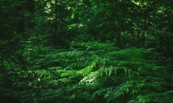 green living tips for 2023