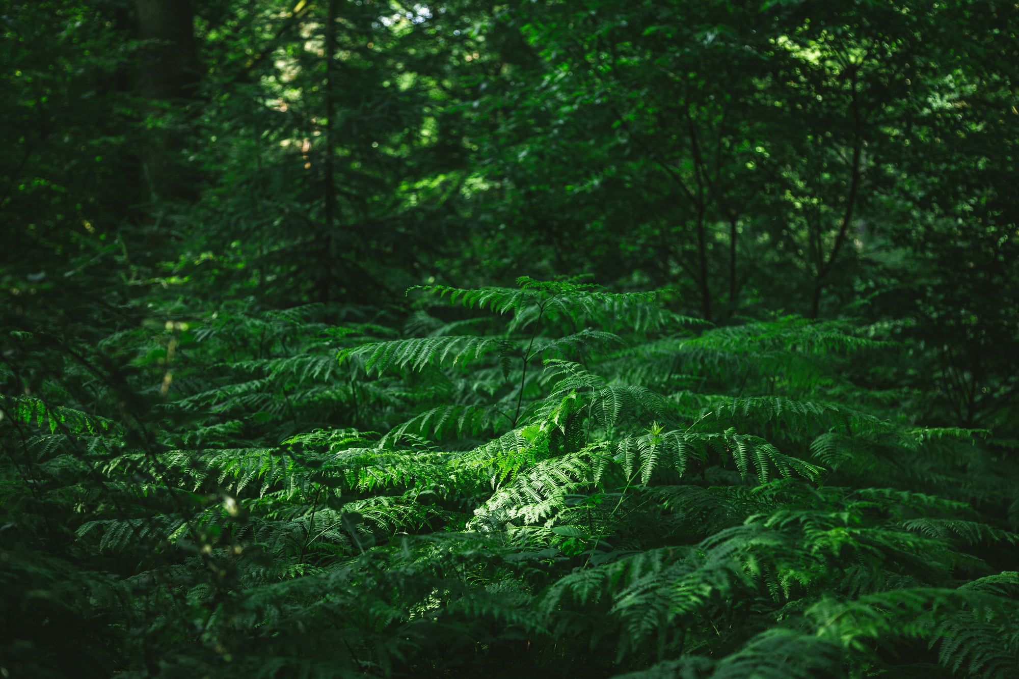 green living tips for 2023