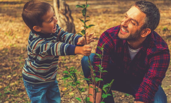 planting a tree benefits