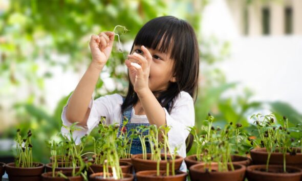 eco-friendly homeschooling