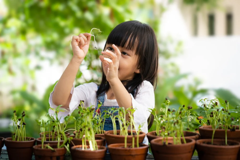 eco-friendly homeschooling