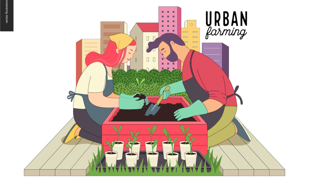 urban farming agriculture