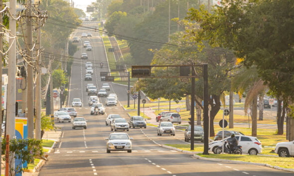 eco-friendly large cars