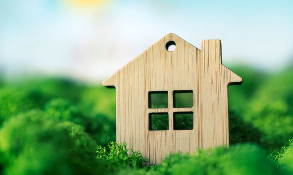 You Need These Eco-Friendly Home Improvements Before the Coming Recession