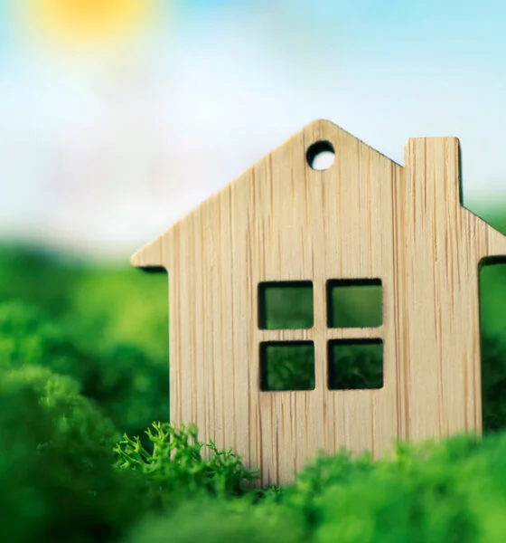 You Need These Eco-Friendly Home Improvements Before the Coming Recession
