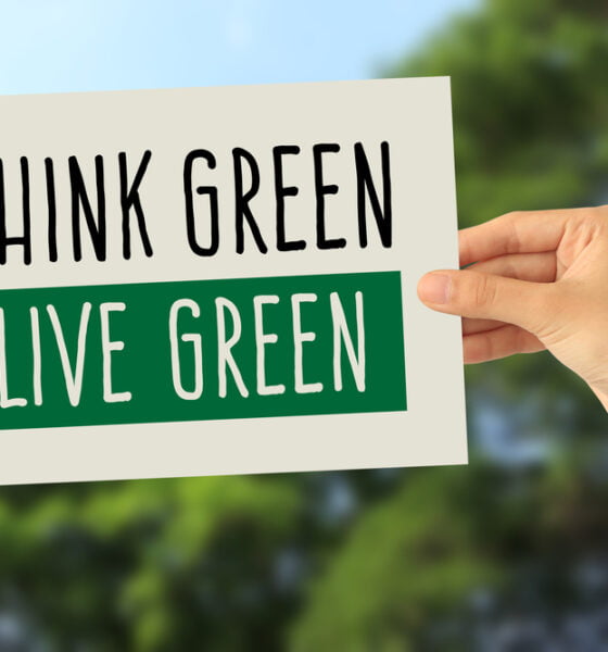 live sustainably