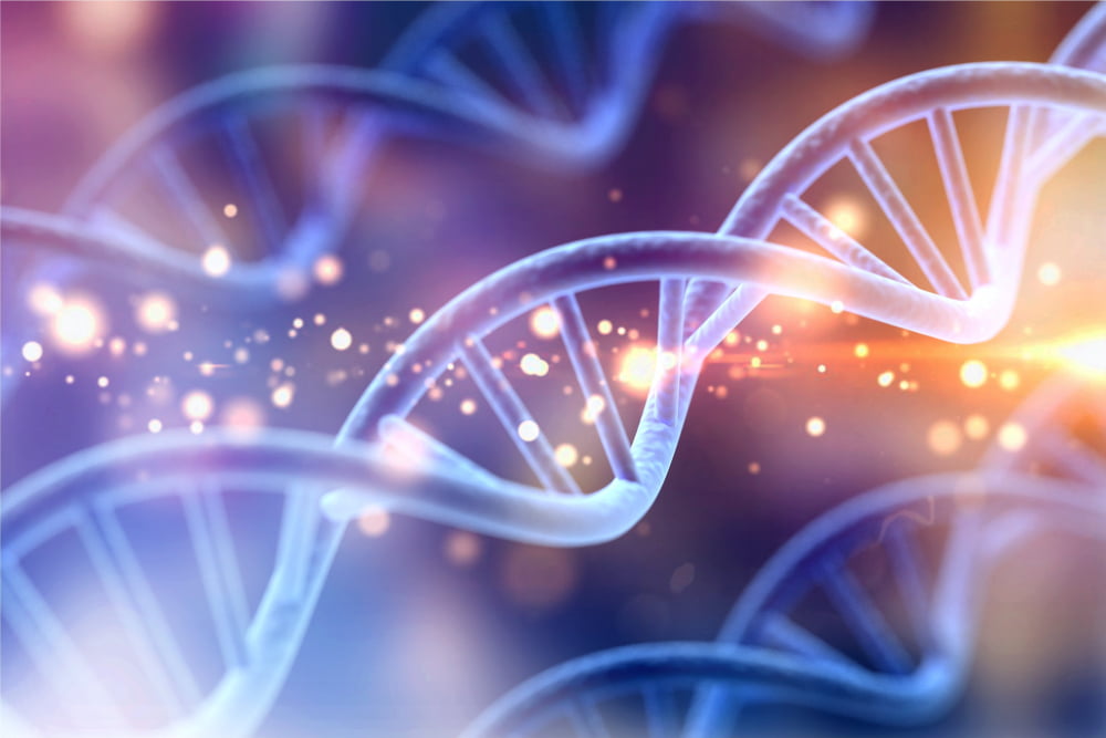 Understanding the Role of DNA in Sustainabilty - Vimarsana News