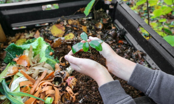 eco-friendly composting