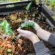 eco-friendly composting