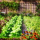 hydroponic eco-friendly gardens