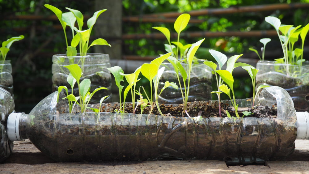 Proven Tips to Build a Beautiful Sustainable Garden - Vimarsana News