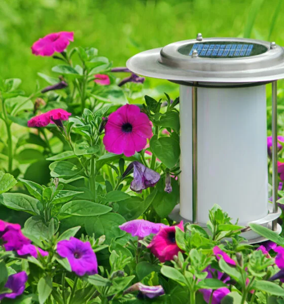 eco-friendly outdoor home improvements