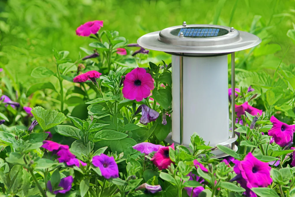 eco-friendly outdoor home improvements
