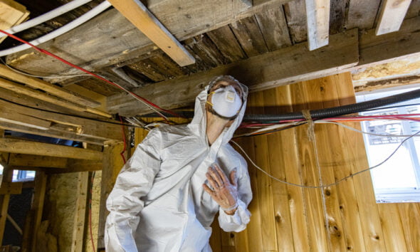 keep mold from harming your health and the planet