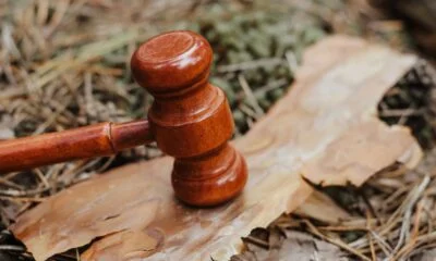 environmental lawyer skills