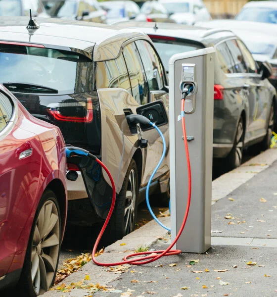 electric vehicle sales rise