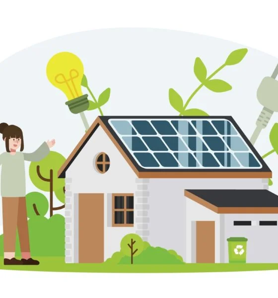 sustainable home ideas
