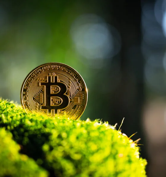 eco-friendly crypto