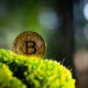 eco-friendly crypto