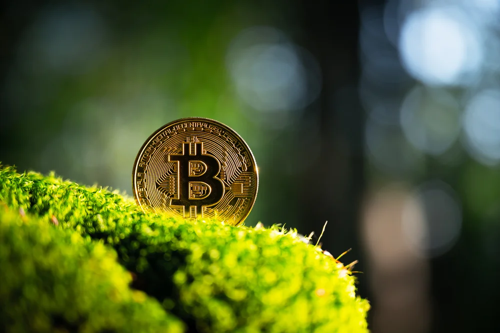 eco-friendly crypto
