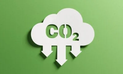 low carbon footprint