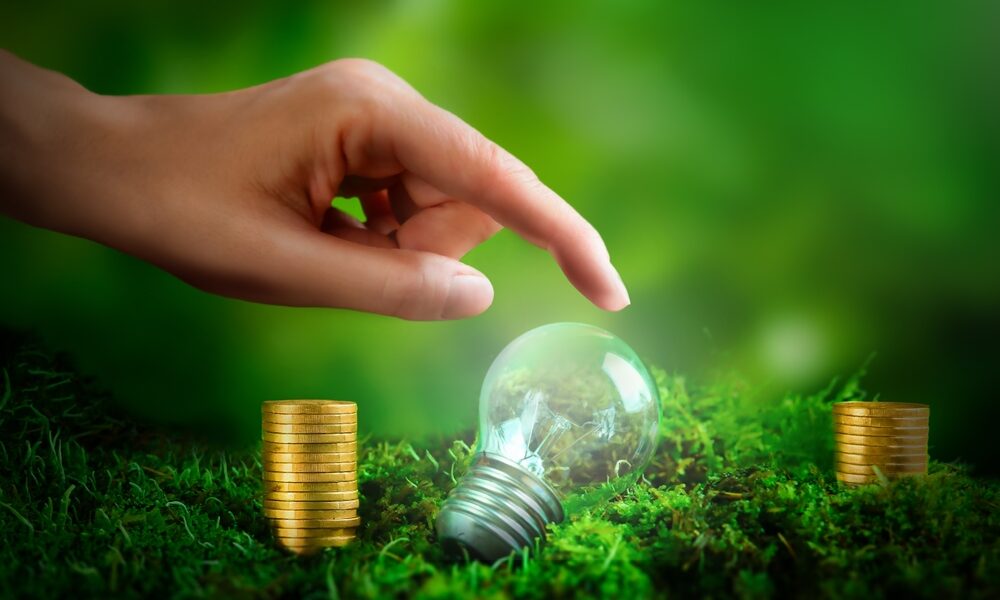 cash flow for eco-friendly businesses