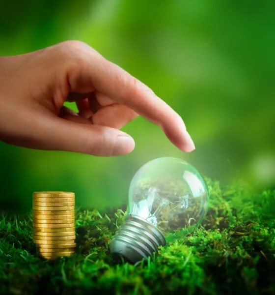 cash flow for eco-friendly businesses