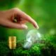 cash flow for eco-friendly businesses