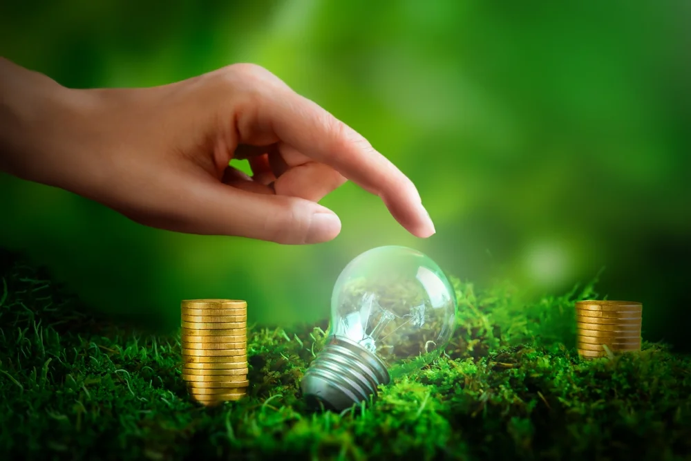 cash flow for eco-friendly businesses