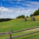 sustainable golf