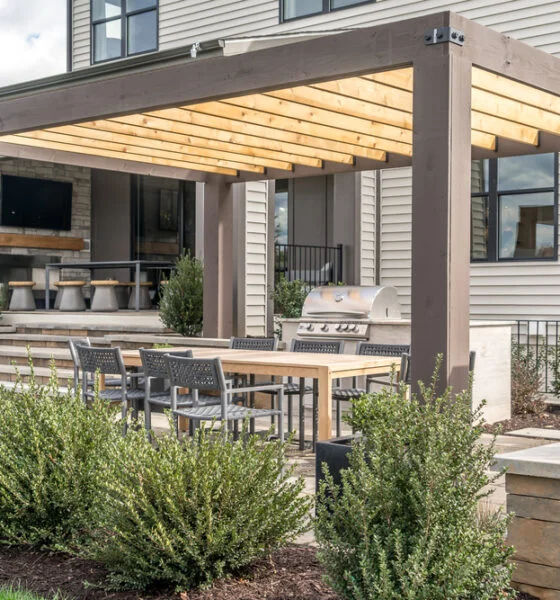 sustainable backyard