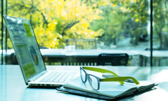 sustainability and business