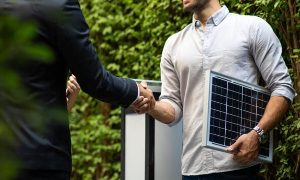 eco-friendly business consultant education