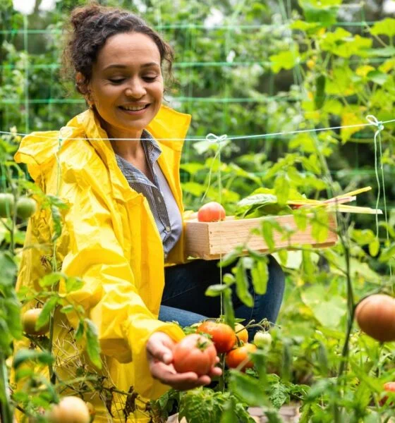 future of sustainable farming