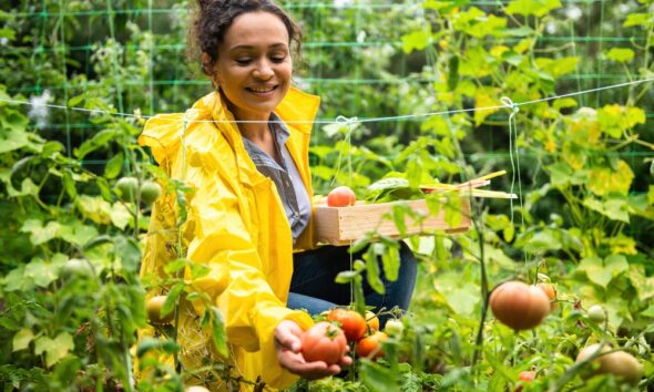 future of sustainable farming
